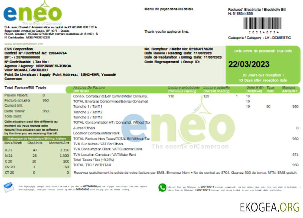 Facture professionnelle du service public d'électricité ENEO, SCR